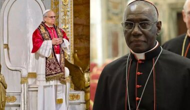 Guinean Vatican-based Cardinal Sarah Appointed Special Envoy to 400th Anniversary of Apparitions of St. Anne in France