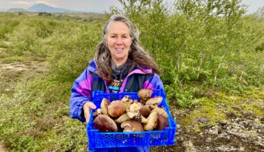 Laura Meyerson headed to Iceland for a Fulbright-National Science Foundation Arctic Fellowship – Rhody Today