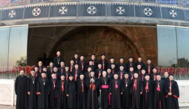 ASIA/LEBANON - “An end to the war in Gaza; Syrians must be given the opportunity to return to their country”
