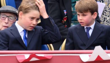 Prince Louis Copies Brother Prince George Flipping His Hair on Live TV