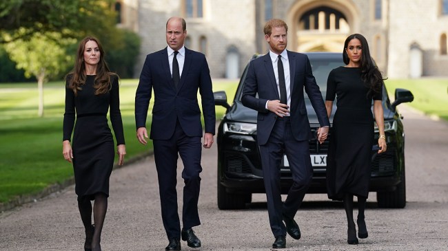 Kate Middleton's Princess Diana Look Hints at Prince William & Prince Harry Reunion