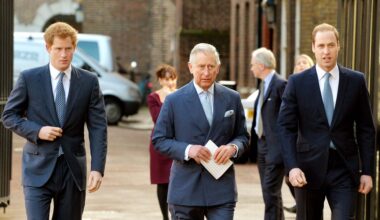 "Nobody Trusts" Prince Harry in the Royal Family, Per Source