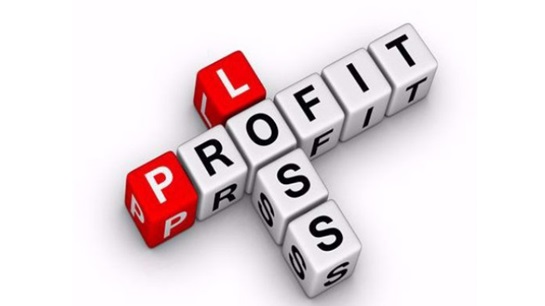 Local insurers' operations abroad turn to profits in 2024