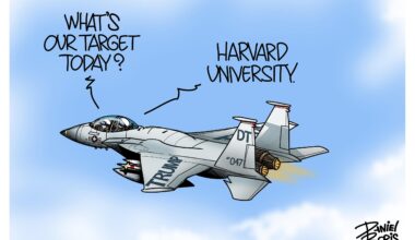 Hating on Harvard.