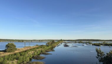 Grüße aus dem Moor