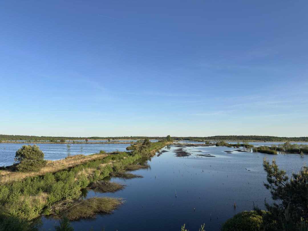 Grüße aus dem Moor