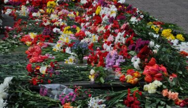 Šogad saistībā ar 9. maiju nav sākts neviens kriminālprocess / Raksts
