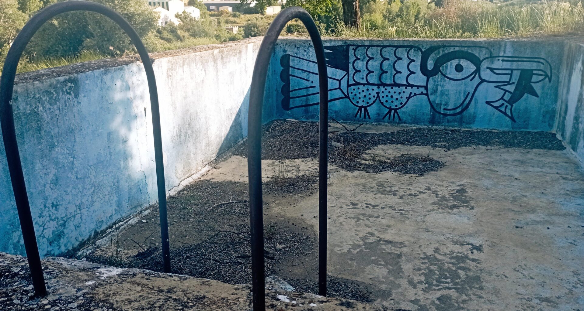 Encontré una piscina abandonada paseando por el campo