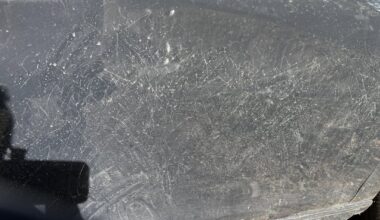 Noticed these scratches on my car this morning. What was it?