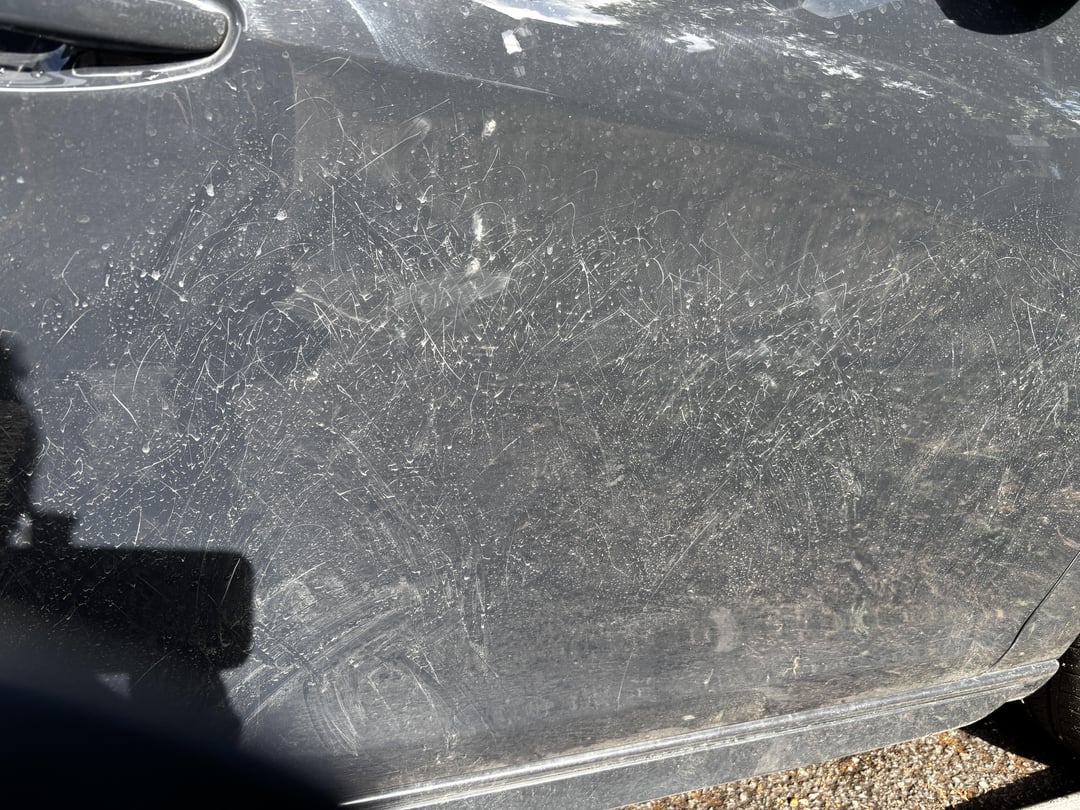 Noticed these scratches on my car this morning. What was it?