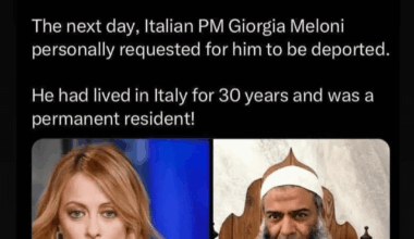 Common Meloni W