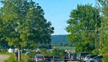 Berikon AG: Getötetes Mädchen (15) im Wald gefunden – Täter verhaftet