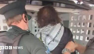 Pensioner arrested during pro-Palestinian protest
