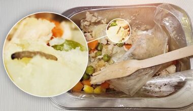 Investigation after dead larva found in Govt supplied school lunch