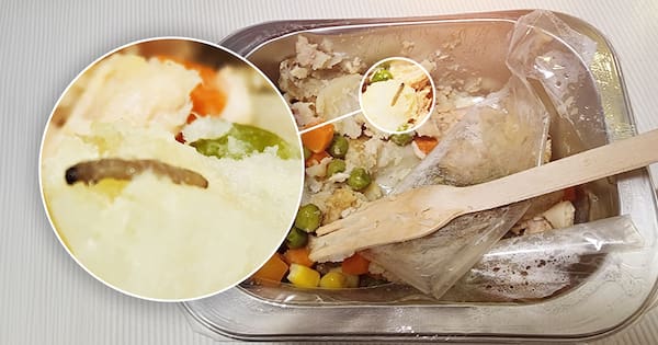 Investigation after dead larva found in Govt supplied school lunch