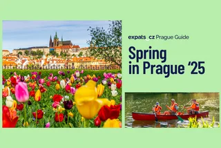 Shutterstock by LEE Gerard, r.classen