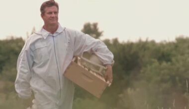 North Texas beekeeper turns to politics to save bees, launching campaign for Texas Agriculture Commissioner