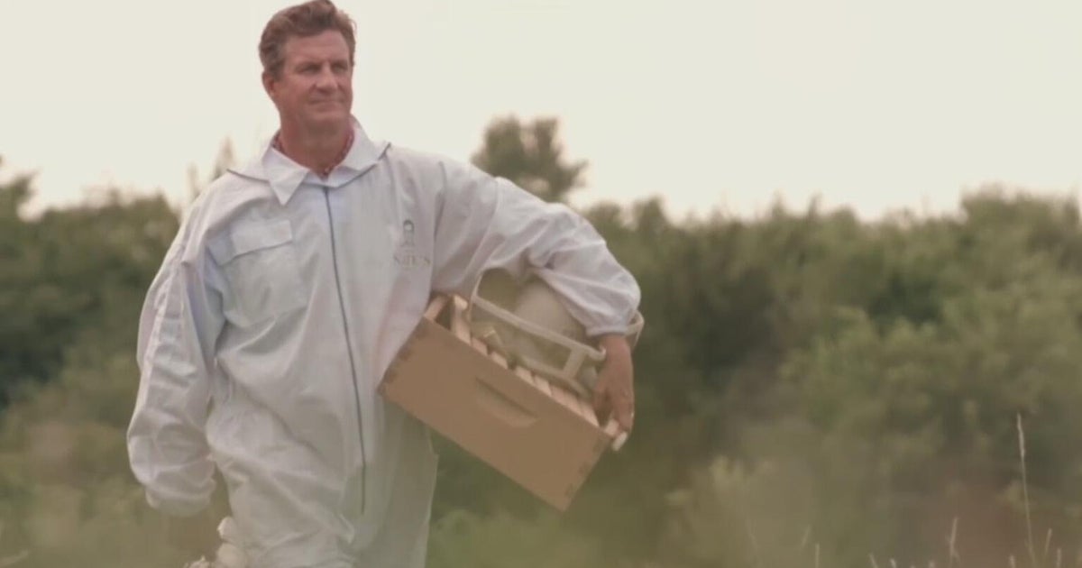 North Texas beekeeper turns to politics to save bees, launching campaign for Texas Agriculture Commissioner