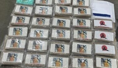 More than 150kg of cocaine worth $60.9m seized at Port of Tauranga