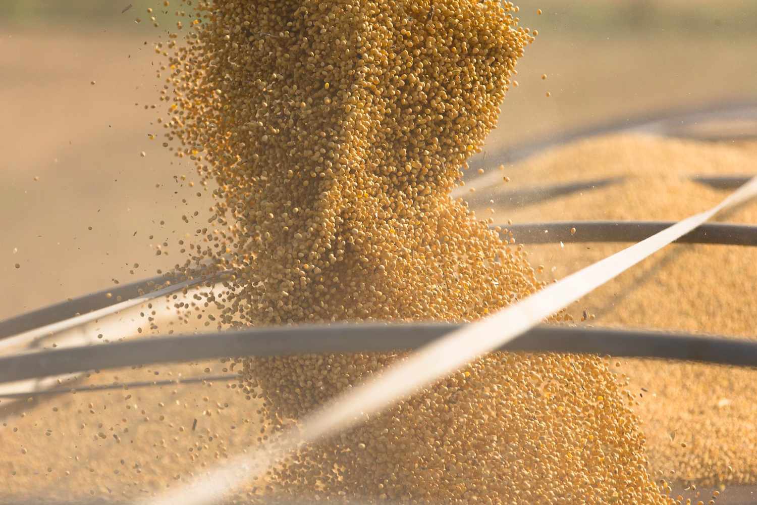 Brazil’s May Soy Exports Could Drop as Trade War, Large Crop Extend Season