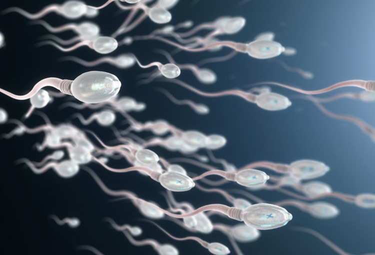 In België zijn 52 kinderen verwekt door spermadonor die gen had dat kanker veroorzaakt