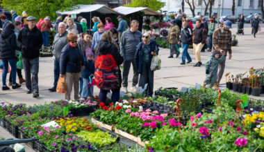 Jelgavā notiek Stādu dienas - Jelgava
