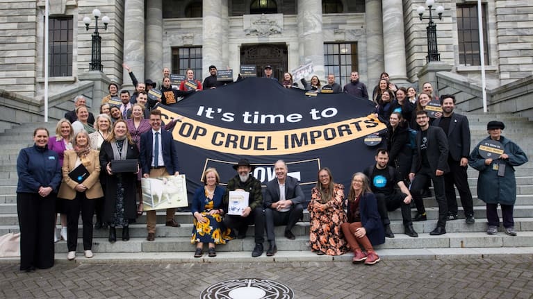 Stop Cruel Imports petition handover and member's bill announcement