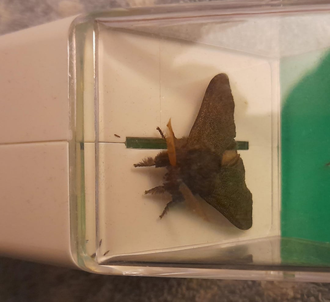 Den kleinen musste ich eben aus dem Badezimmer nach draußen bringen