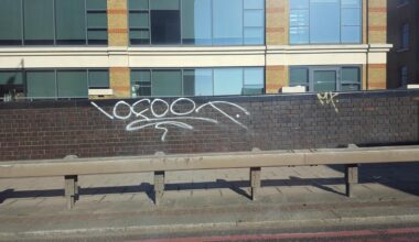 I cannot be the only one thinking this is the ugliest tag tarnishing every upright surface in this City.