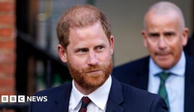 Prince Harry loses legal challenge over security he receives when in UK