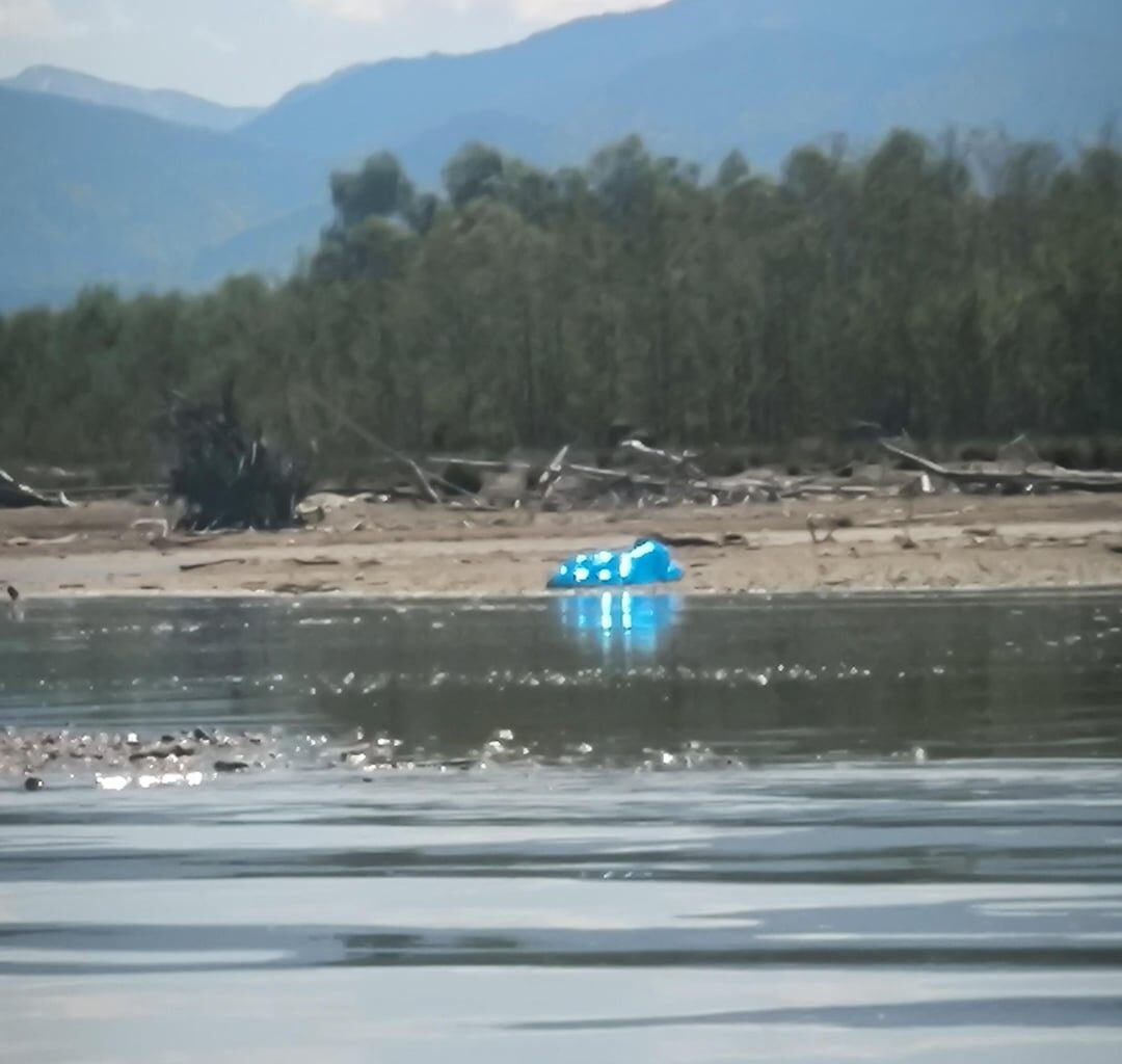 Was liegt da im Naturschutzgebiet?