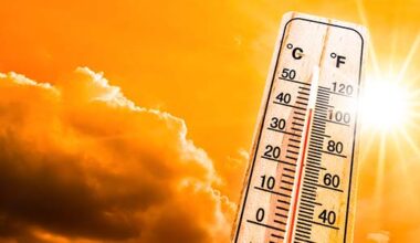 Dutch central bank backs use of temperature scores for sovereign debt