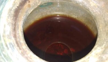 The Ancient Roman Wine