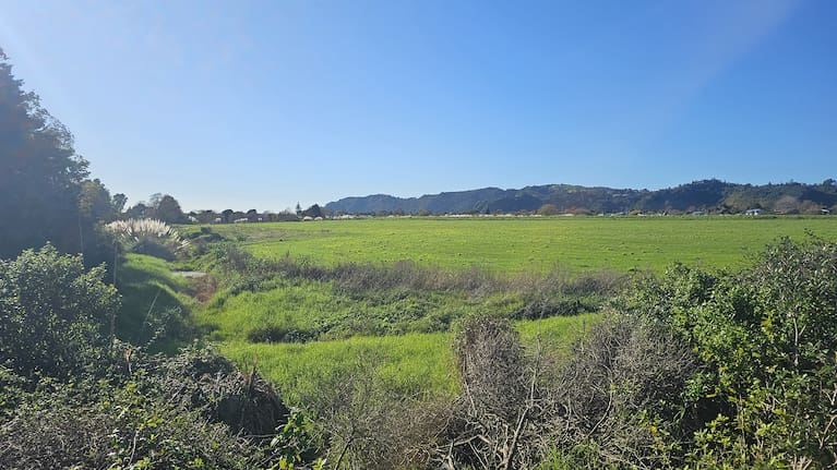 The former industrial landfill site on Keepa Road belonging to Te Rāhui Land Trust was once destined to be a boat harbour