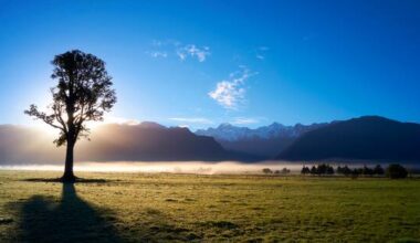 Above average temps expected during winter