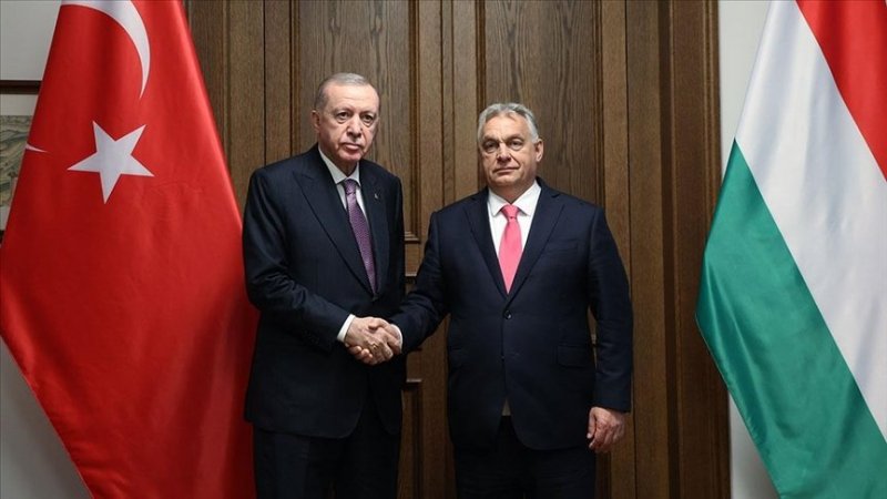 Turkish, Hungarian leaders discuss ties and global issues