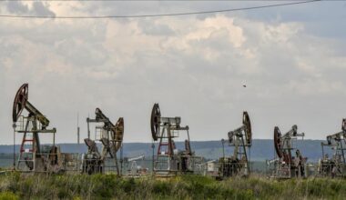 OPEC+ plays key role in stabilizing oil markets during global turmoil