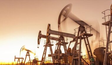 OPEC+ members fast-track oil supply increase