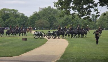 This will clean up the lime bike offenders