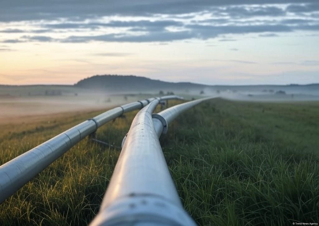Portugal notes boost in crude oil imports from Azerbaijanin 4M2025