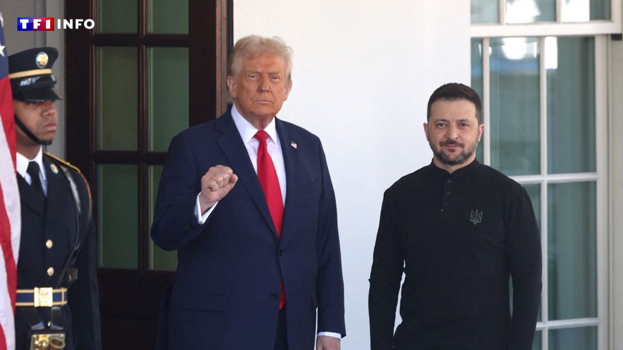 EN DIRECT - Guerre en Ukraine : Trump appelle à un "cessez-le-feu inconditionnel de 30 jours"
