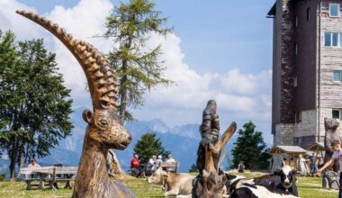 Najbolj pristna slovenska navada obnorela turiste: "Popolna svoboda v naravi!" - Turizem