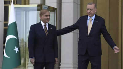 EaseMyTrip and Cox & Kings suspend all travel offerings to Azerbaijan and Turkey, 'join' the 'boycott' call