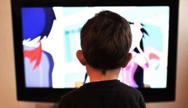 India's screen entertainment market set to grow to $17 billion by 2029, online video segment to lead
