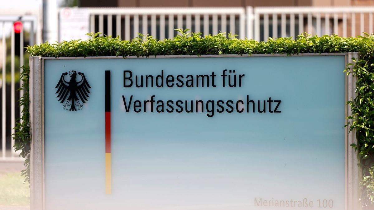 AfD reicht Klage gegen Verfassungsschutz ein