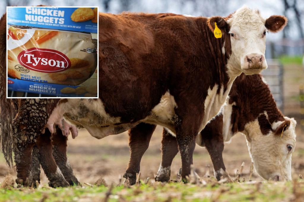 Tyson Foods shares sink as meatpacker warns of 'challenging market conditions' for beef