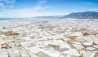 Neither the Great Wall of China nor the pyramids are visible from space. The only human construction that is... is in Spain