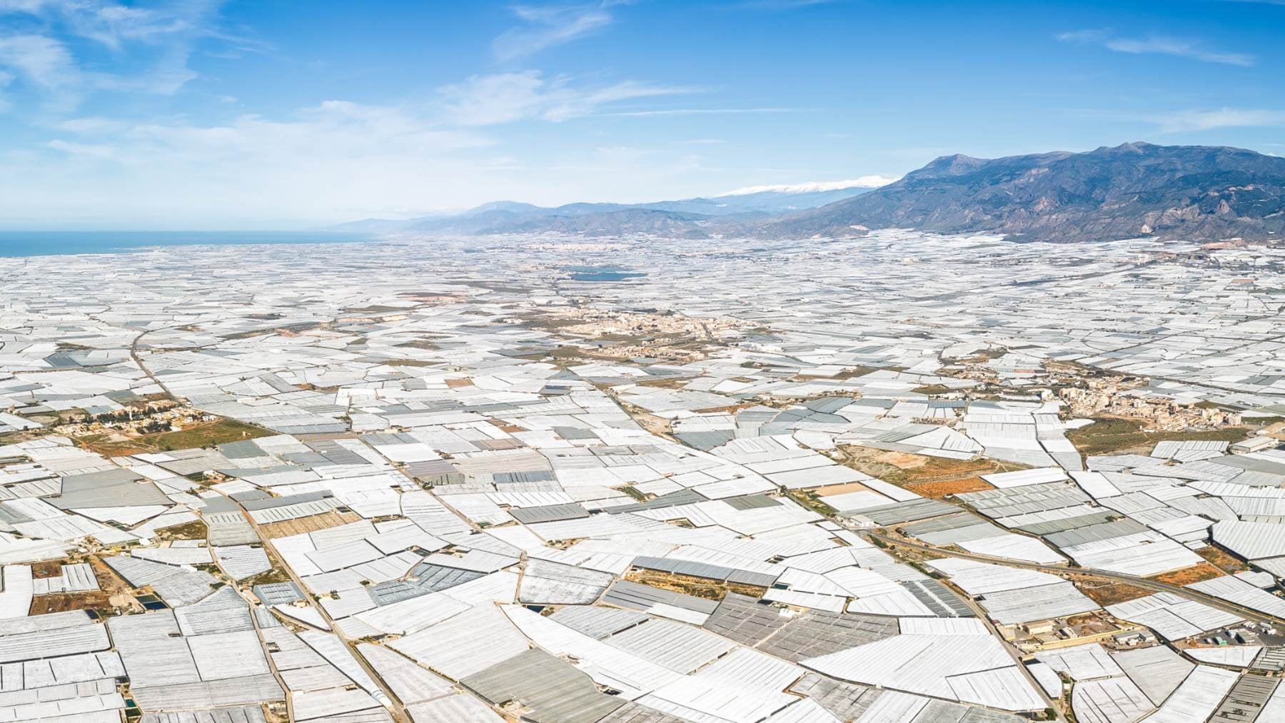 Neither the Great Wall of China nor the pyramids are visible from space. The only human construction that is... is in Spain