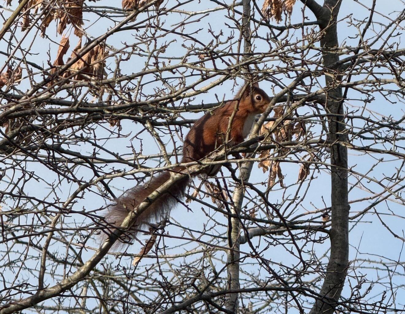 Spotted this cute little dude