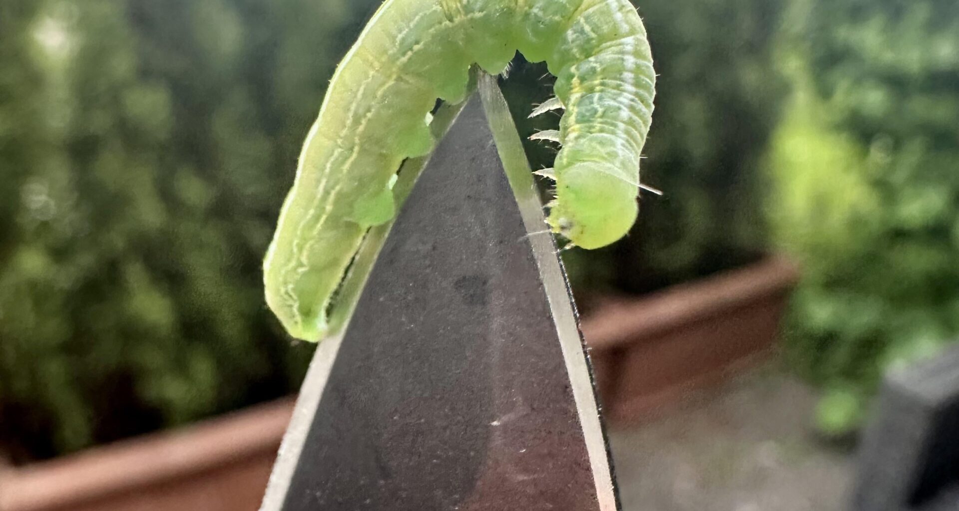 Was will ich mal werden?🤔